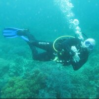 Tomas (@estetia1) 's Twitter Profile