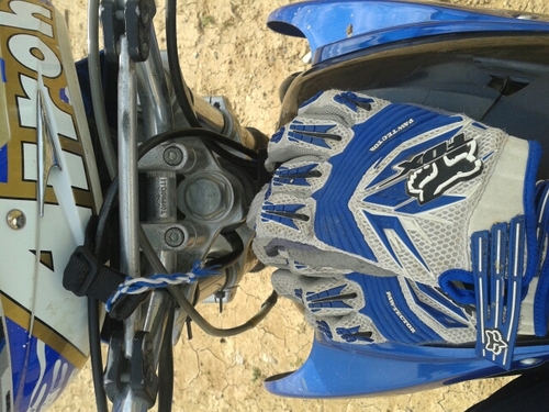 alberto_5_'s profile picture. 