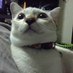 ฟหกด ่าสว (@bhahabha) Twitter profile photo