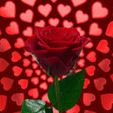 AmnehSweery's profile picture. 