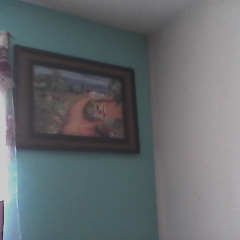 chavista y luchadora por mi pais madre de pura sepa guariqueña de corazon