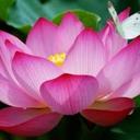 judith chaves - @judithchaves1 - Twitter