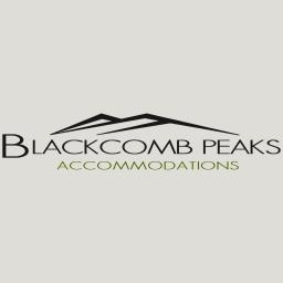 BlackcombPeaks's profile picture. Affordable, luxury accommodations at North America's top ski resort!