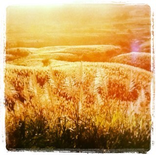 jahiro974's profile picture. Changer le monde, c'est commencer par soi...tous né sous le même soley! jah live!