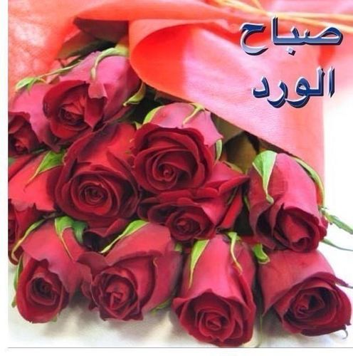 ولياطرالك شئ سمعٍ وطاعه=اهجر وواصل واطلب اللي يريحك لكن ليا منك نويت القطاعه=سدد فواتيرك وسلم شرايحك
