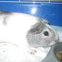 Ella Gant - @ellagant12345 - Twitter