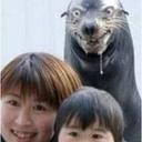 Wes Hopper - @wes_hopper - Twitter