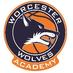 Wolves Academy (@wolvesacademy11) Twitter profile photo Wolves Academy (@wolvesacademy11) Twitter profile photo
