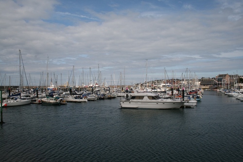 jjggord's profile picture. Easy goin guy, bi always horny, loves sex, swingers, mmf and anything naughty with cock, tits and pussy!