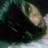 broken_0722's profile image
