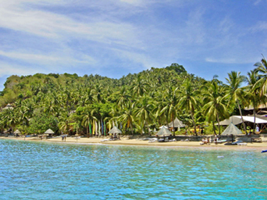 cocobeachresort's profile picture. paradise!