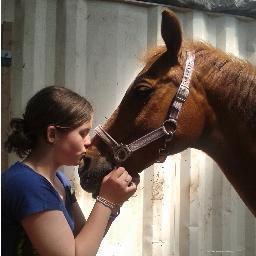 i love mainstreet rein owen daan en nils i am a mainiac  holly en rico  jullie zijn the best horse of mij life