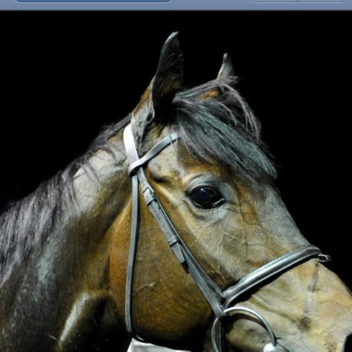 barbados30's profile picture. 