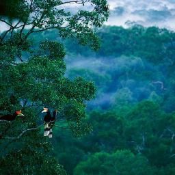 We post Amazing pics on all the beatiful places on the earth! New Account help us to the 150 followers!