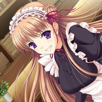 ノエル マーレス アスコット Hideyosi181 Twitter ノエル マーレス アスコット Hideyosi181 Twitter