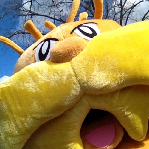 TheLorax4csf Profile Picture