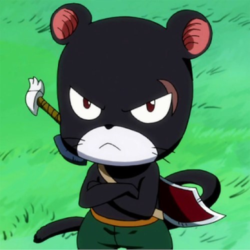 Panther Lily the most strongest exceed, the one who saved Prince Jellal, and now the partner of Gajeel Redfox #FairyTail