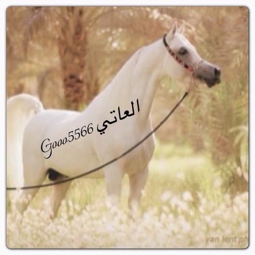 اللهم اجعل هذا الحساب صدقه لصاحبته