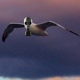 AbdullahCabaluz's profile picture. 