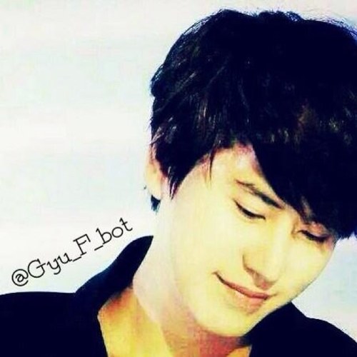 SJ Kyuhyunbot... not Real ( since：120202 )