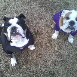 mikebecker14's profile picture. 