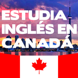 + Tenemos el mejor precio en cursos de ingles en el exterior