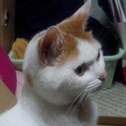 Kirsche_Sakura's profile picture. 20↑/ FF7EC/FF7RB/NCT/WayV/時々FF11・14回顧厨/チョコミン党/怪物/
Copyright (C) 2010 - 2025SQUARE ENIX CO., LTD. All Rights Reserved.