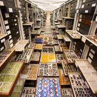 NMNH_Entomology (@nmnh_entomology) 's Twitter Profile