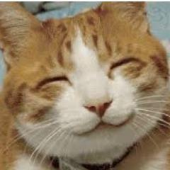 Soy un gato romantico, Me gusta poner FRASES de todo tipo. Sigueme y te sigo.
https://t.co/w8mzAtwISm Y agregame en el Facebook:)
