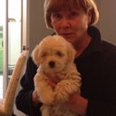 Lavada King - @lavadaking - Twitter