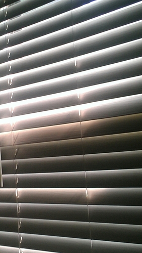 coldestever911's profile picture. 