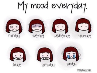 slr_v2's profile picture. •220101