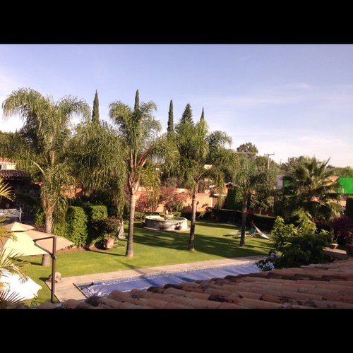 trivalvar's profile picture. 