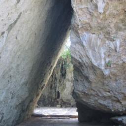 miz_aubade's profile picture. テニス観戦が好きでした