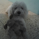 fernando castilla - @ferchok79 - Twitter