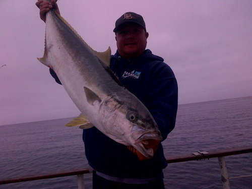 jercampbell847's profile picture. Golf. Fish. Work. In that order.