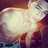 Vinnnnnny_'s profile image