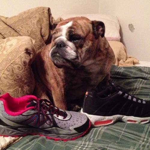 AllProRob's profile picture. 