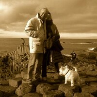 PJR (@paul_radcliffe) 's Twitter Profile
