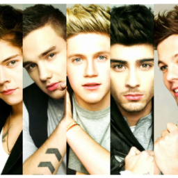 Let me tell you a long story,i love Zayn Malik THE END (;
