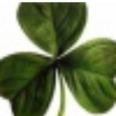 beachswimmer's profile picture. 