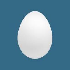 EggArmyV2Lina's profile picture. this egg belongs to @DemetriasRivera
