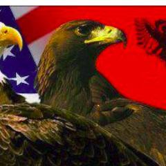 TaniDema's profile picture. 