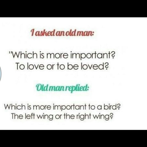 loodibinali's profile picture. 