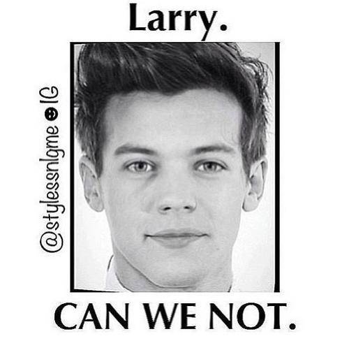 fabfit_5's profile picture. hi, were basically one direction mad.
DONT GET US WRONG WE SHIP LARRY STYLINSON BUT AS A FRIENDSHIP NOT AS BROMANCE.
if 1D follow us we will die
k?