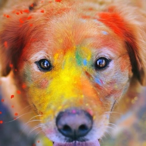 mel_t123's profile picture. loading.......