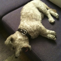 misti_ken's profile picture. Göz, sadece zihnin anlamaya hazır olduğu şeyi görür. W. Robertson Davies