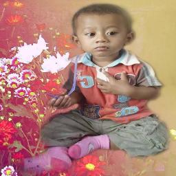 EdyKurniawanto's profile picture. 