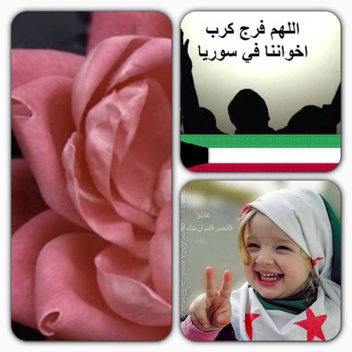 واثقه تماماً بأن ماعند الله هو الاثمن والاجمل وان راحة قلبي ♥ وقلوبكم ♥♥عند اول خطوة في الجنه اللهم الجنه الجنه. الجنه الاستقرامAL_anwar85