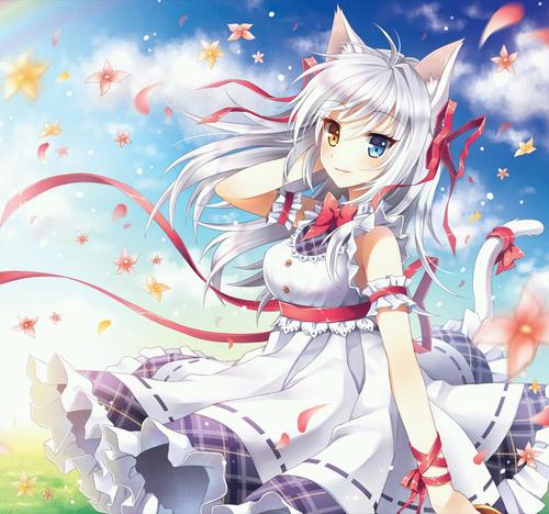 (RP 18+, Neko, Bi) I am simply a cat with nine lives that is shy at times. Owner/Girlfriend: @TokisakiKurumi_ I love her~